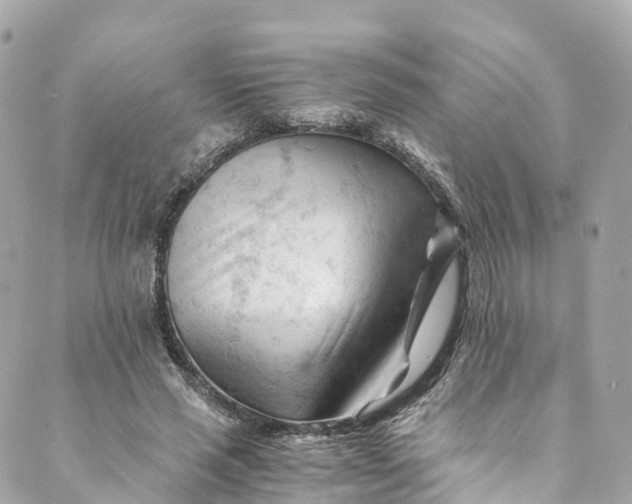 X0000088910637200706291530