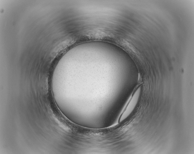 X0000088910638200706291530