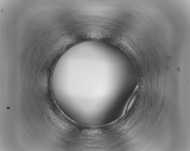 X0000088910639200706291530