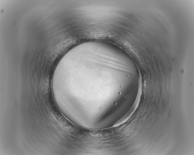 X0000088910640200706291530