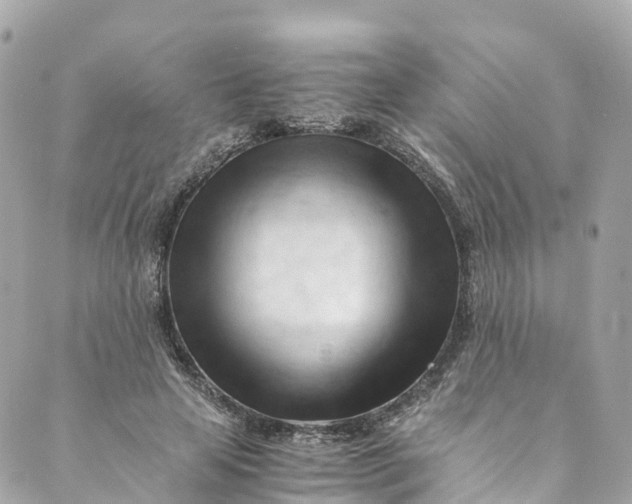 X0000088910641200706291530