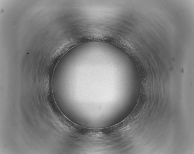 X0000088910642200706291530