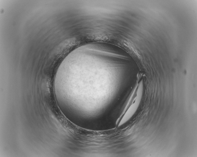 X0000088910643200706291530