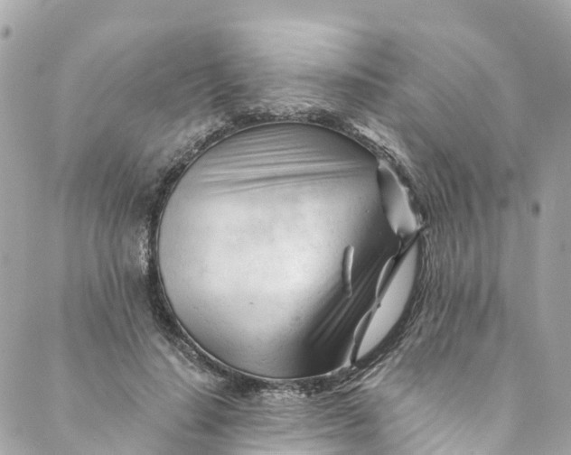 X0000088910644200706291530