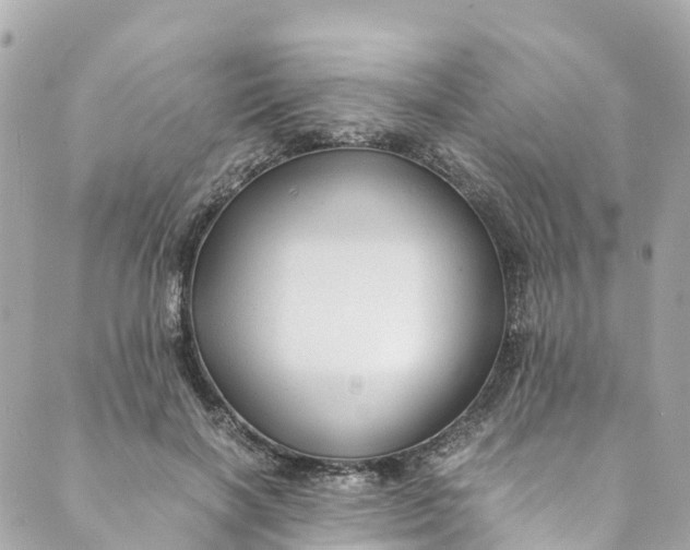 X0000088910646200706291530