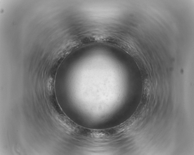 X0000088910650200706291530