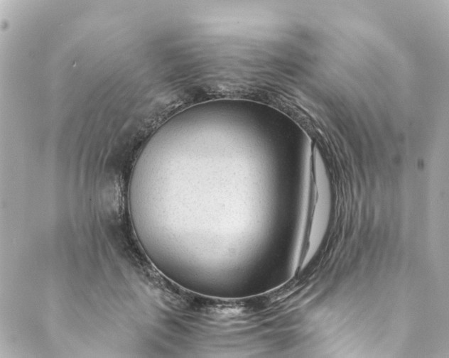 X0000088910651200706291530