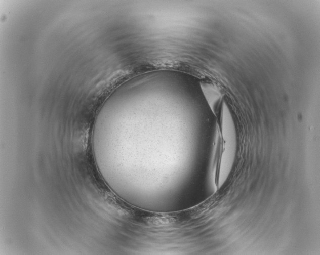 X0000088910652200706291530