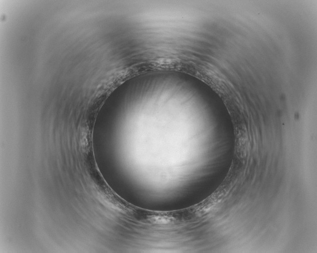 X0000088910654200706291531