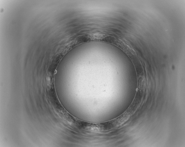 X0000088910655200706291531