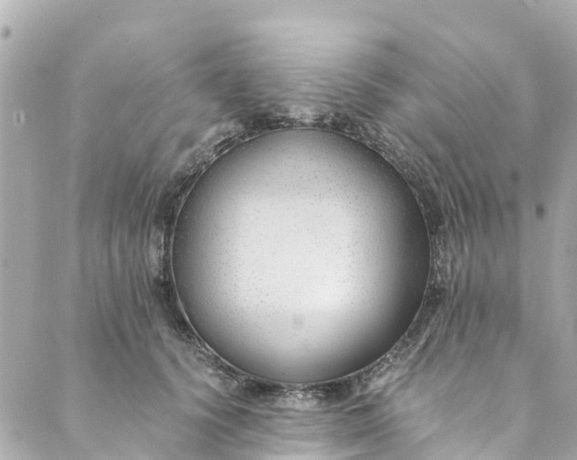 X0000088910656200706291531