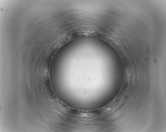 X0000088910657200706291531