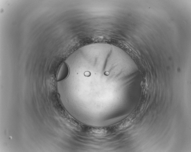 X0000088910659200706291531