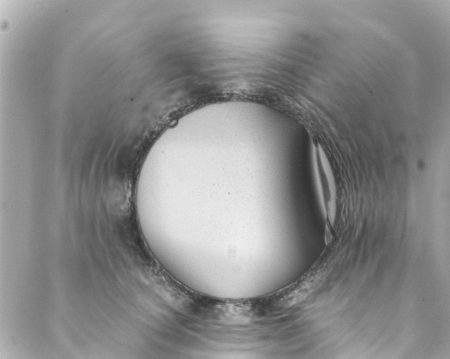 X0000088910660200706291531