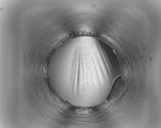 X0000088910661200706291531