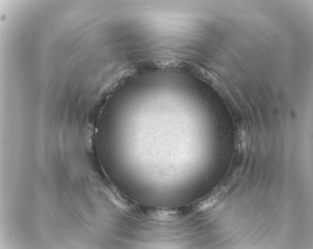 X0000088910664200706291531