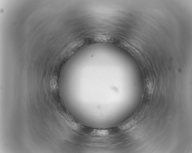 X0000088910665200706291531