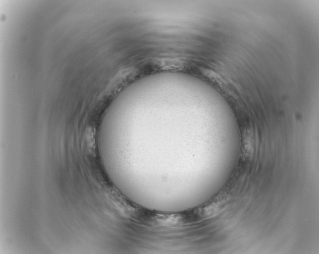 X0000088910667200706291531