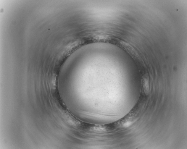 X0000088910668200706291531