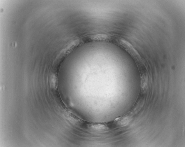 X0000088910669200706291531