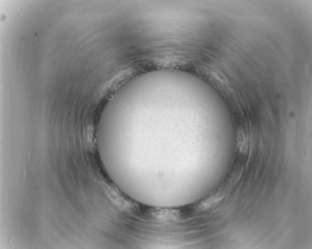 X0000088910670200706291531