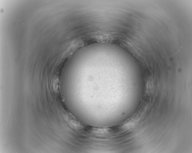 X0000088910671200706291531