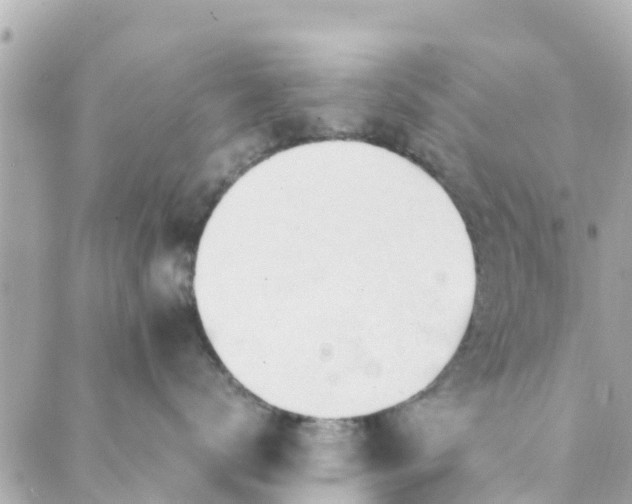 X0000088910672200706291531