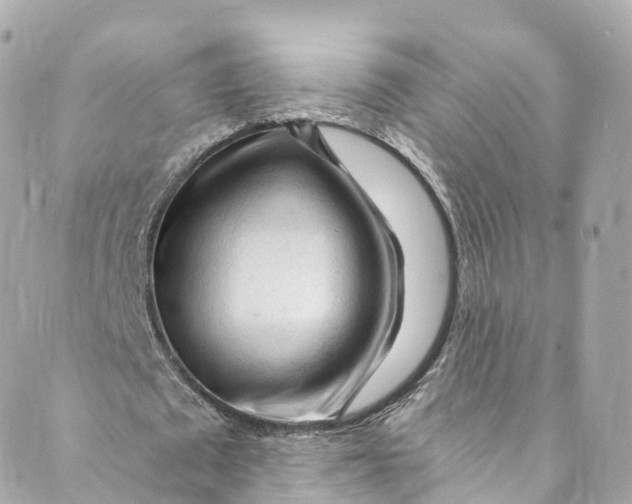 X0000088910673200706291530