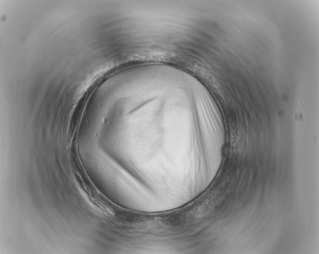 X0000088910674200706291530