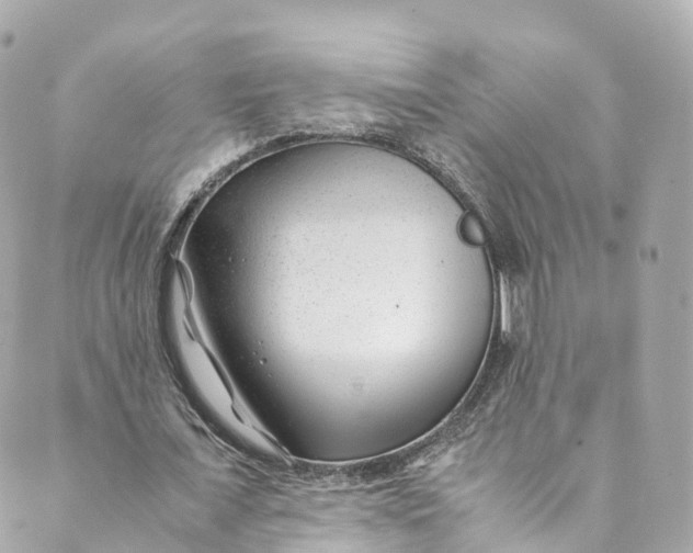 X0000088910675200706291530