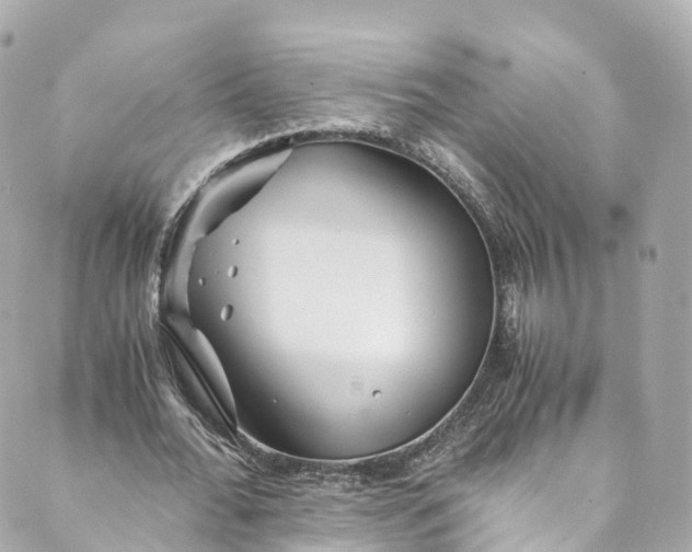 X0000088910676200706291530