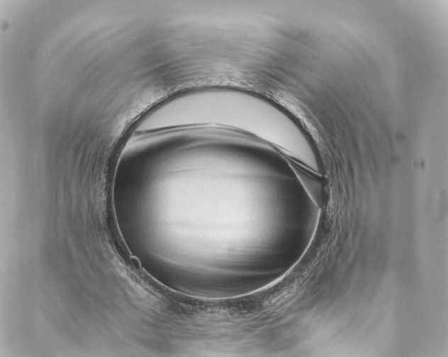 X0000088910677200706291530