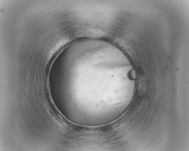 X0000088910679200706291530