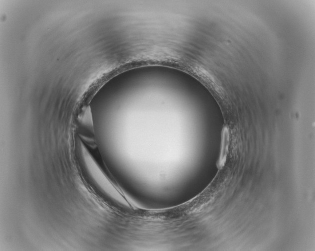 X0000088910680200706291530