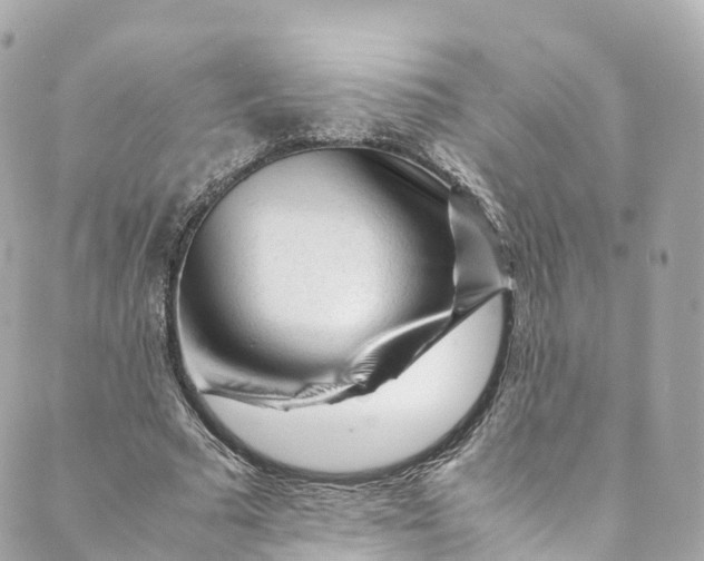 X0000088910681200706291530