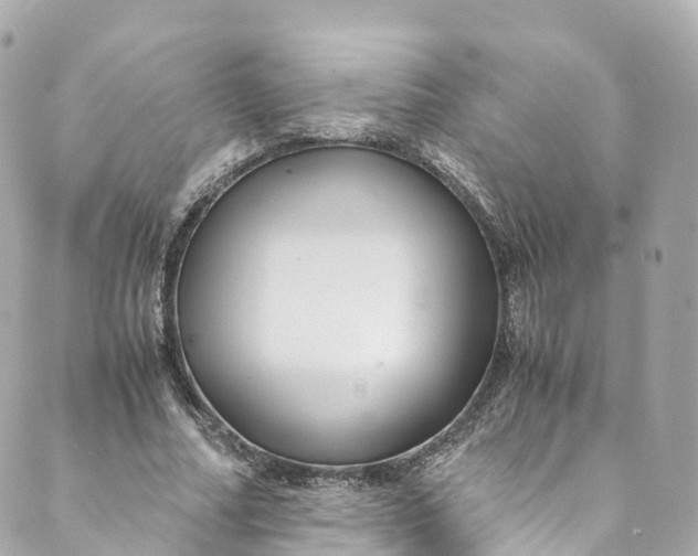 X0000088910682200706291530