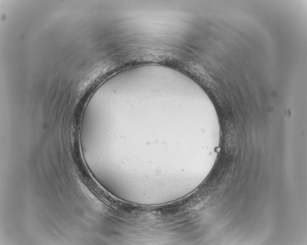 X0000088910683200706291530