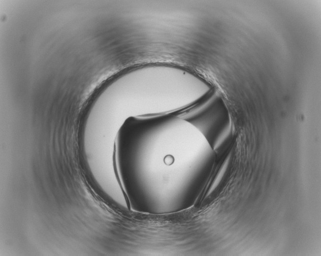 X0000088910684200706291530