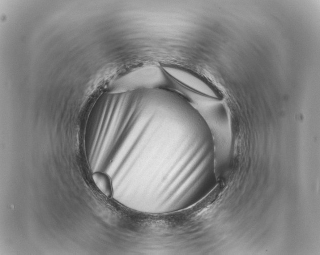 X0000088910685200706291530