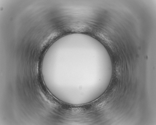 X0000088910686200706291530