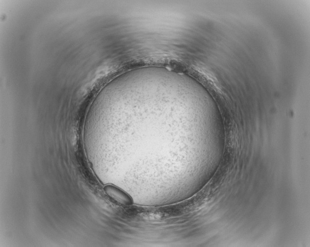 X0000088910687200706291530