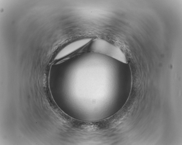 X0000088910689200706291530