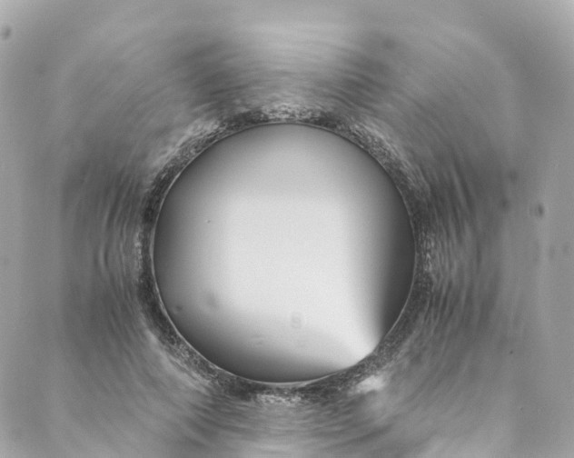 X0000088910690200706291530