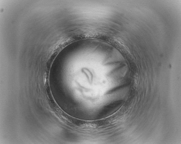 X0000088910691200706291530