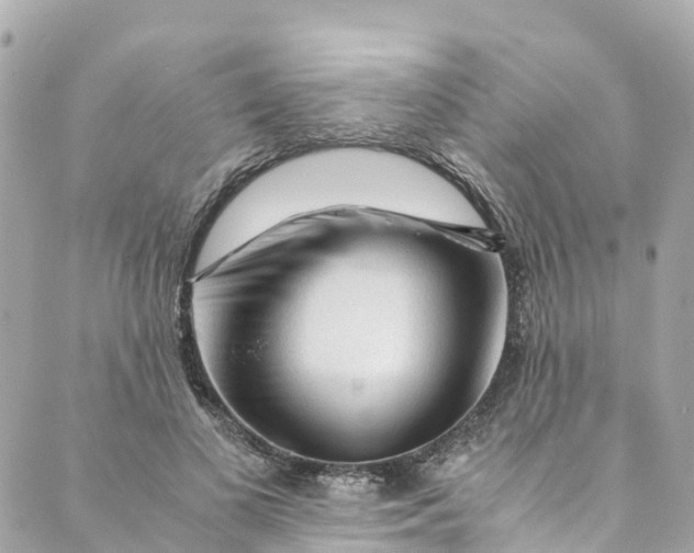 X0000088910693200706291530