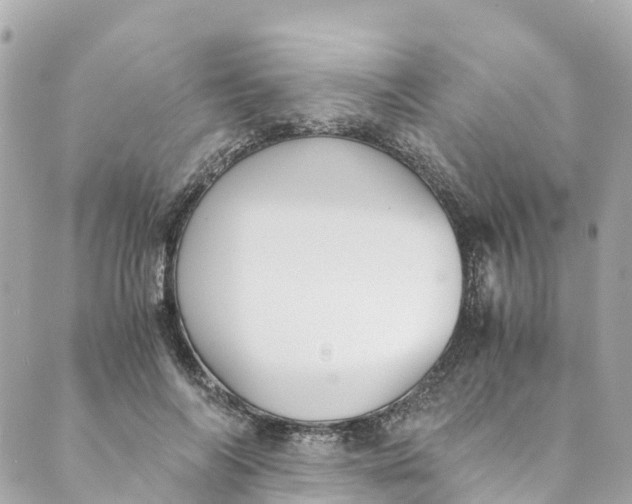 X0000088910694200706291530