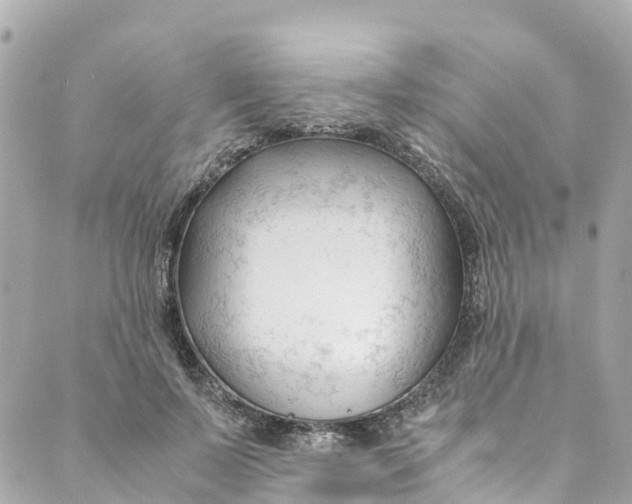 X0000088910695200706291530