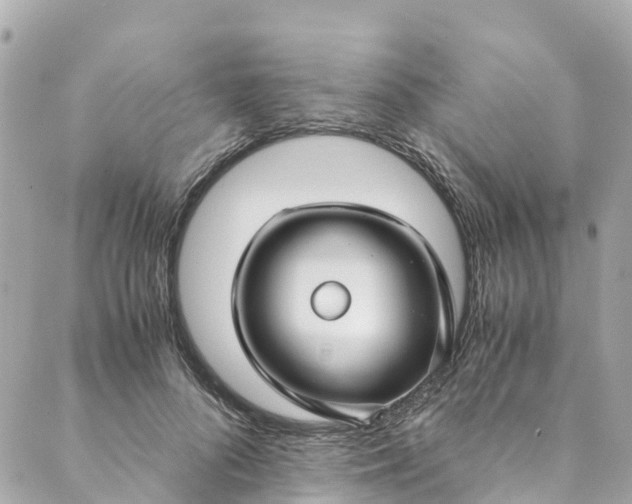 X0000088910696200706291530