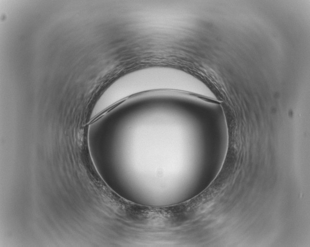 X0000088910697200706291530