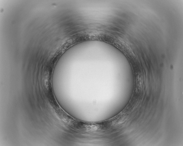 X0000088910698200706291530